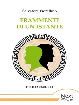 cover image of Frammenti di un istante